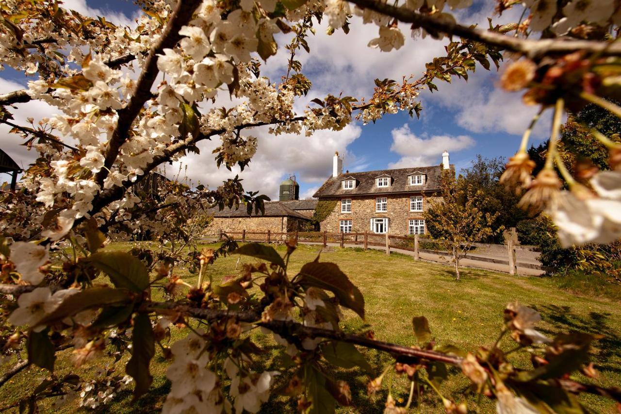 Anran At Tidwell Farm Bed & Breakfast Staverton  Exterior photo